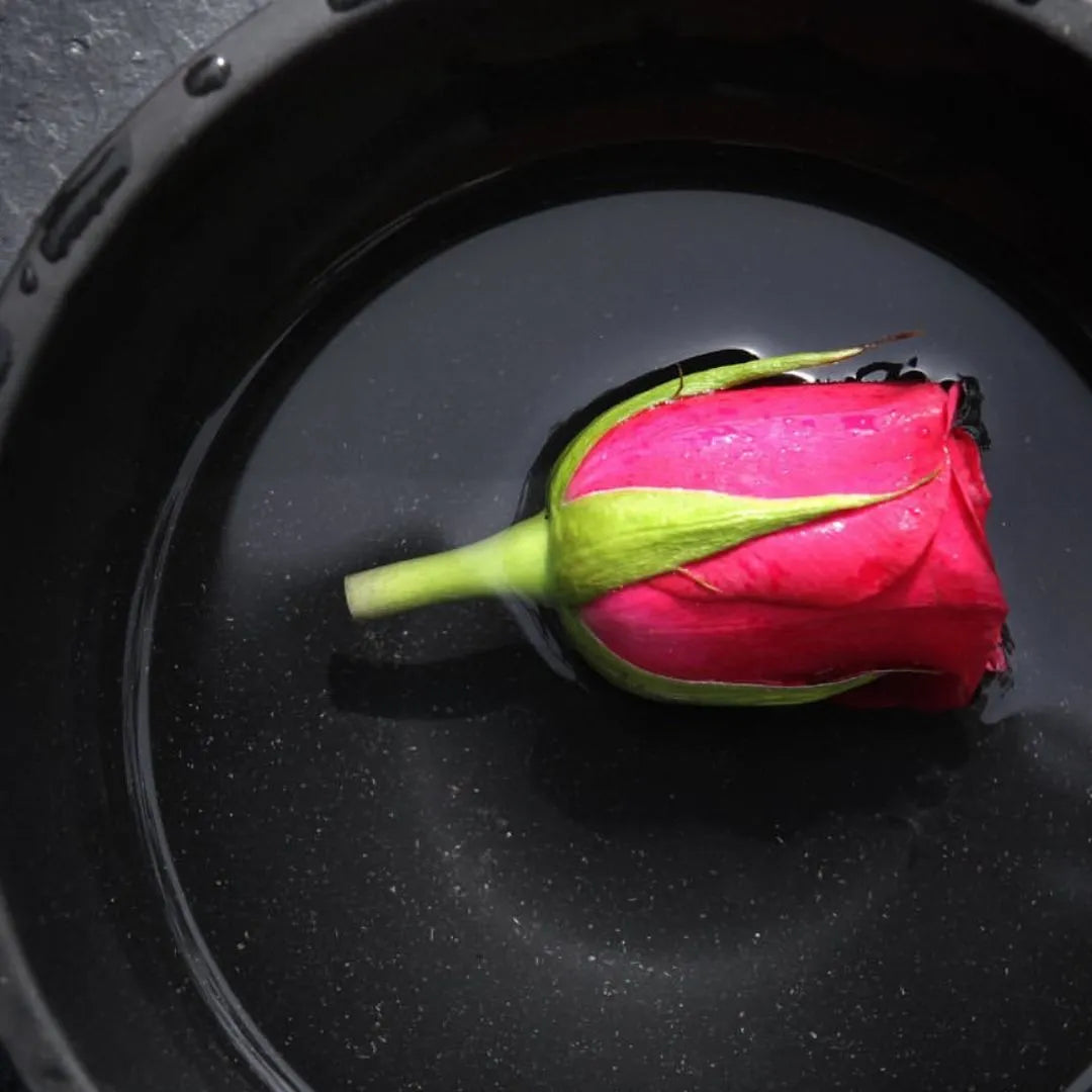 Bouton de rose d'Ispahan servant à élaborer l'Harissa à la rose d'Ispahan Tava Hada Pipelta THP