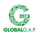 Dattes produites de façon équitable : GLOBAL gap